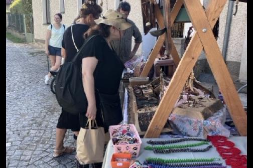 IMG_0727 ve střední velikosti