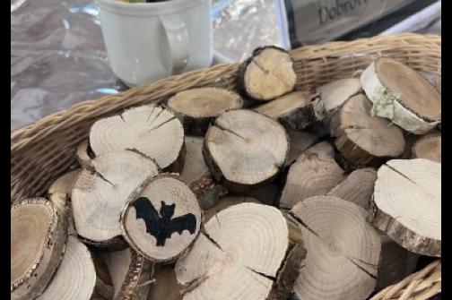 IMG_0638 ve střední velikosti