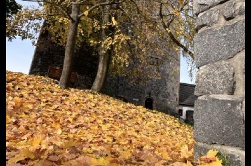 IMG_1442 2 ve střední velikosti