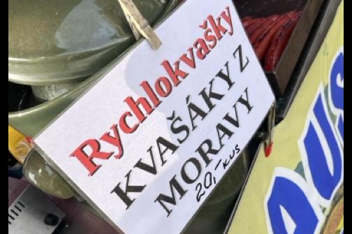 IMG_1445 2 ve střední velikosti