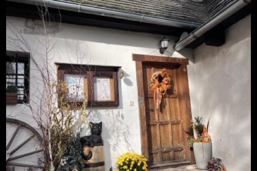 IMG_1446 2 ve střední velikosti