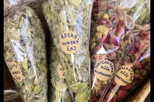 IMG_1453 2 ve střední velikosti