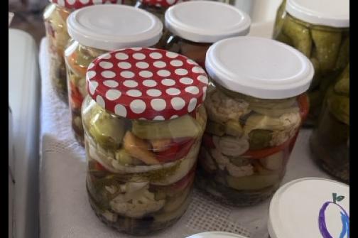 IMG_1458 2 ve střední velikosti