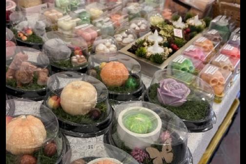 IMG_1472 2 ve střední velikosti