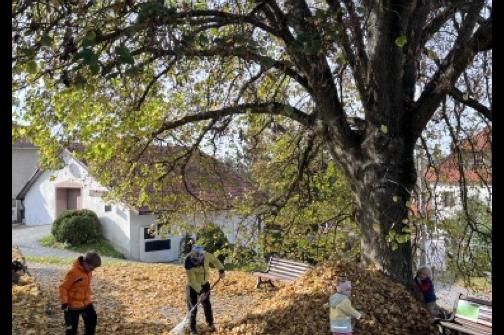 IMG_1543 2 ve střední velikosti