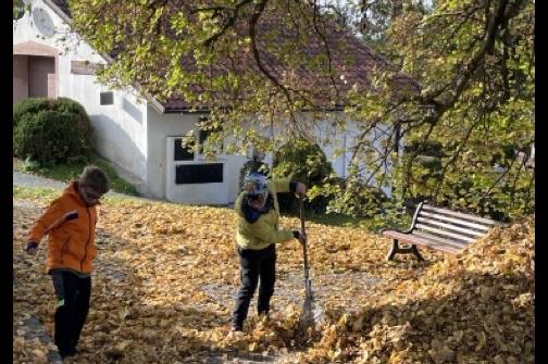 IMG_1544 ve střední velikosti