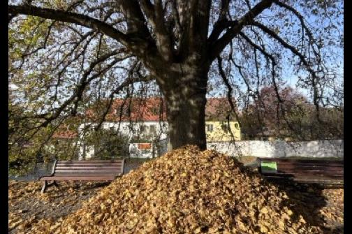 IMG_1545 ve střední velikosti