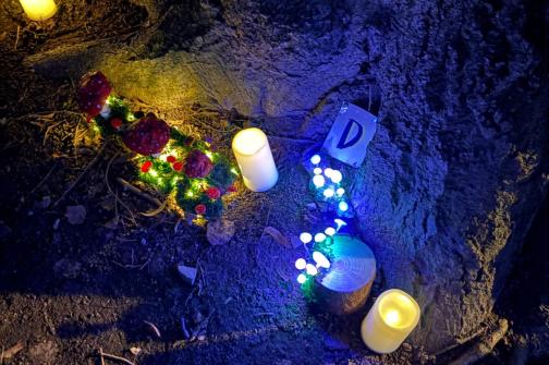 a994ac54-615a-4c11-b7fe-c37054d36b5f