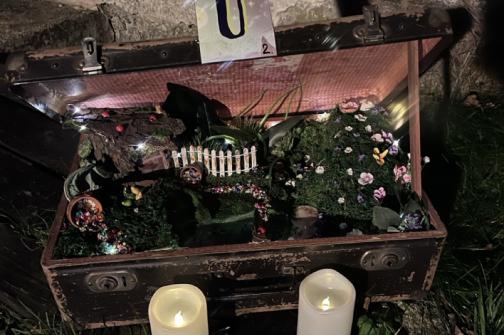 IMG_2102 ve velké velikosti