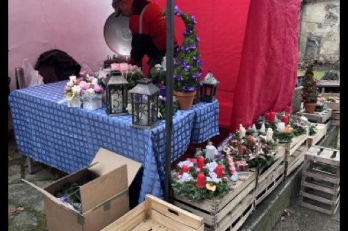 IMG_2367 ve střední velikosti