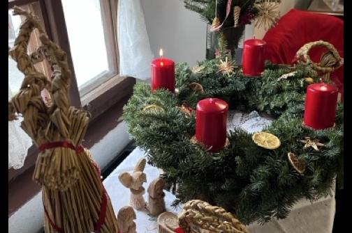 IMG_2377 ve střední velikosti