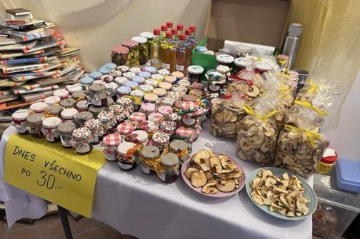 IMG_2399 ve střední velikosti