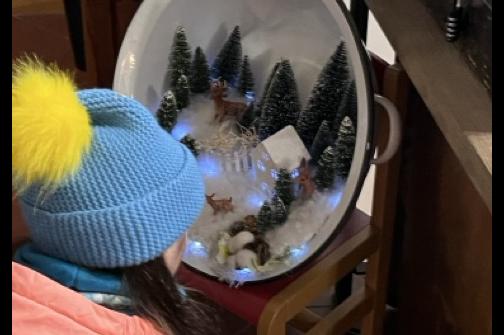 IMG_2463 ve střední velikosti