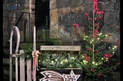 IMG_2471 ve střední velikosti