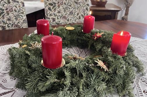 IMG_2692 ve střední velikosti