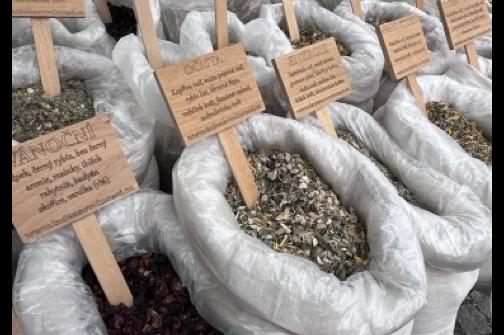 IMG_2730 ve střední velikosti