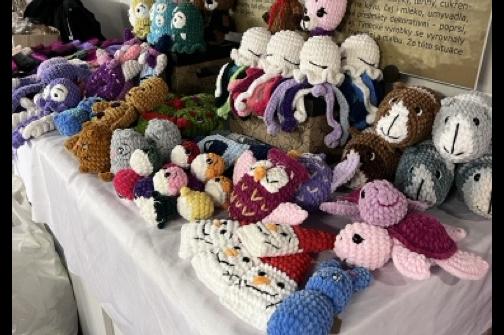 IMG_2972 ve střední velikosti