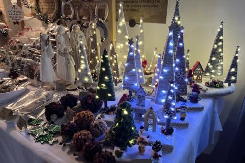 IMG_2983 ve střední velikosti