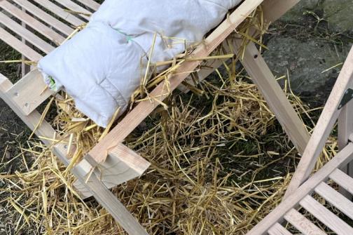 IMG_3224 ve velké velikosti