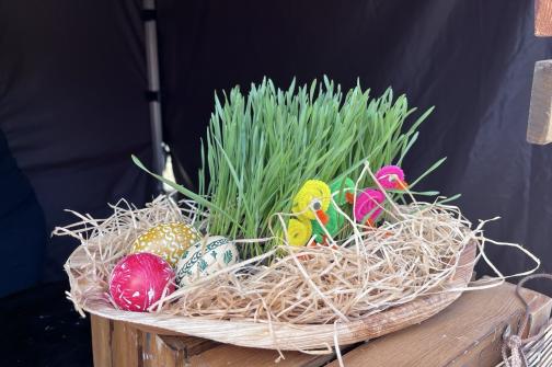 IMG_5273 ve velké velikosti